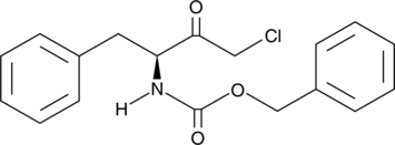 SL 01图片