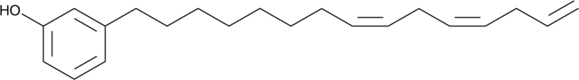 Cardanol triene图片