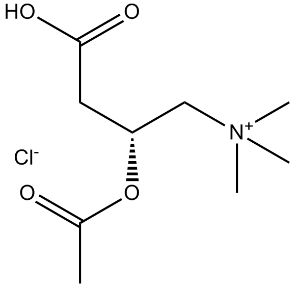 (±)-Acetylcarnitine chloride图片