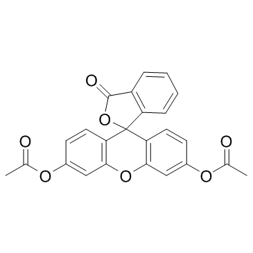 Fluorescein Diacetate(3,6-Diacetoxyfluoran)图片