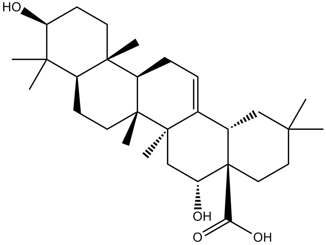 Echinocystic acid图片