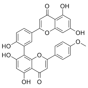 Podocarpusflavone A图片
