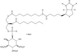 PtdIns-(3,4,5)-P3-biotin(sodium salt)图片