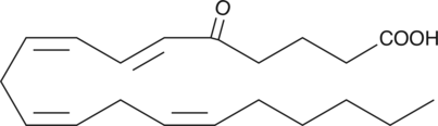 5-OxoETE图片