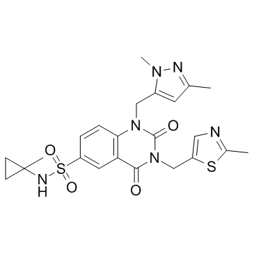 PDD 00017273图片