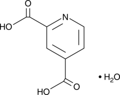 2,4-Pyridinedicarboxylic Acid(hydrate)图片