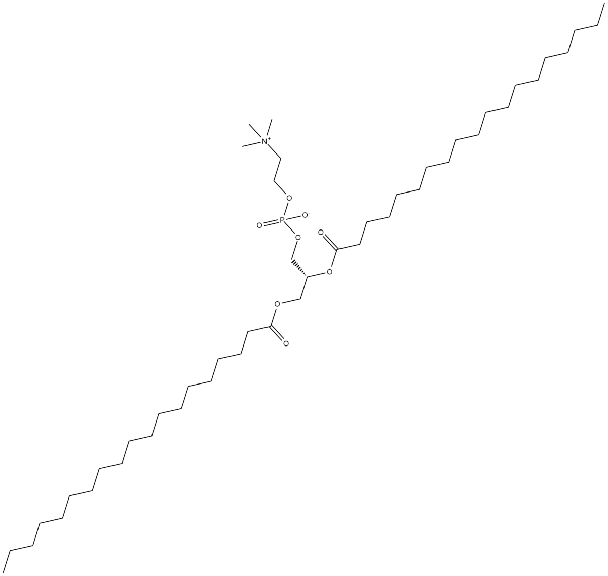 1,2-Dinonadecanoyl-sn-glycero-3-PC图片