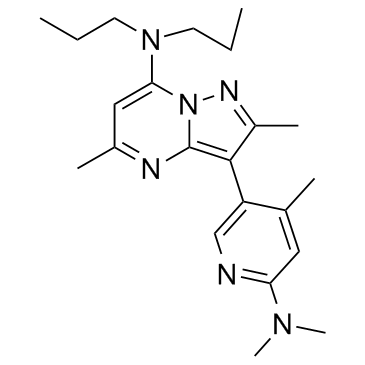 R121919(NBI30775)图片