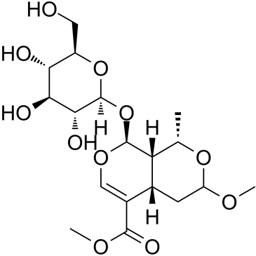 7-O-Methyl morroniside图片