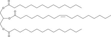 1,3-Dimyristoyl-2-Oleoyl-rac-glycerol图片