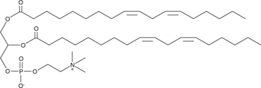 1,2-Dilinoleoyl-sn-glycero-3-PC图片