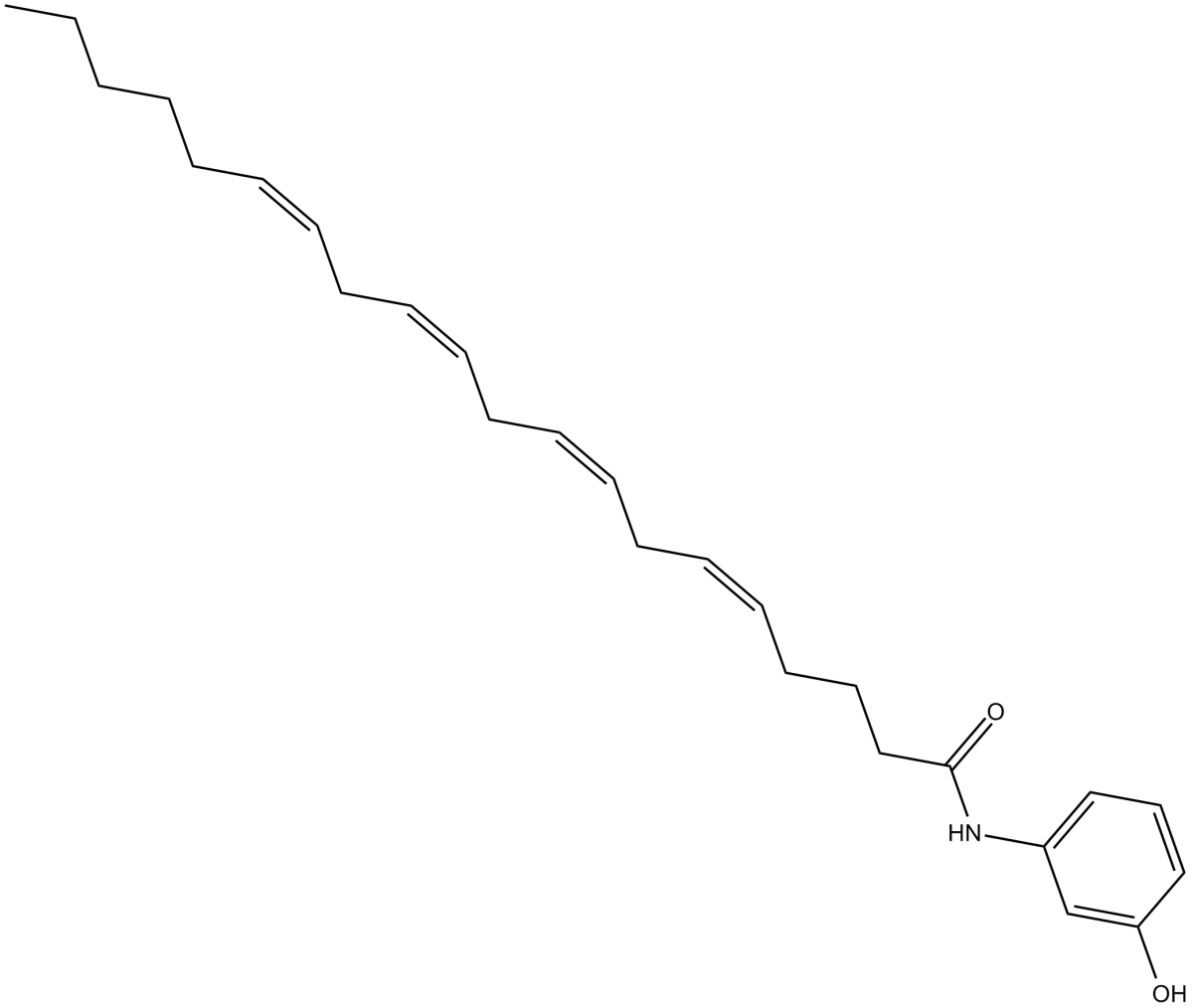 N-(3-hydroxyphenyl)-Arachidonoyl amide图片
