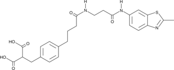 AZ 33图片