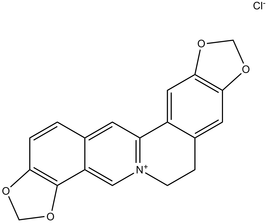 Coptisine chloride图片