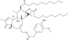 PDDHV图片