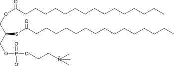 Palmitoyl thio-PC图片