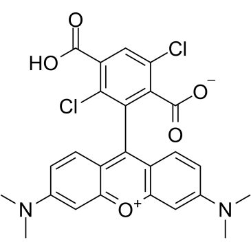 1,4-Dichloro 6-carboxytetramethylrhodamine图片