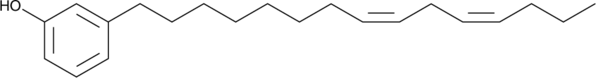 Cardanol diene图片