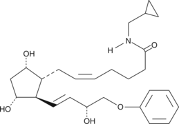 16-phenoxy tetranor Prostaglandin F2αcyclopropyl methyl amide图片