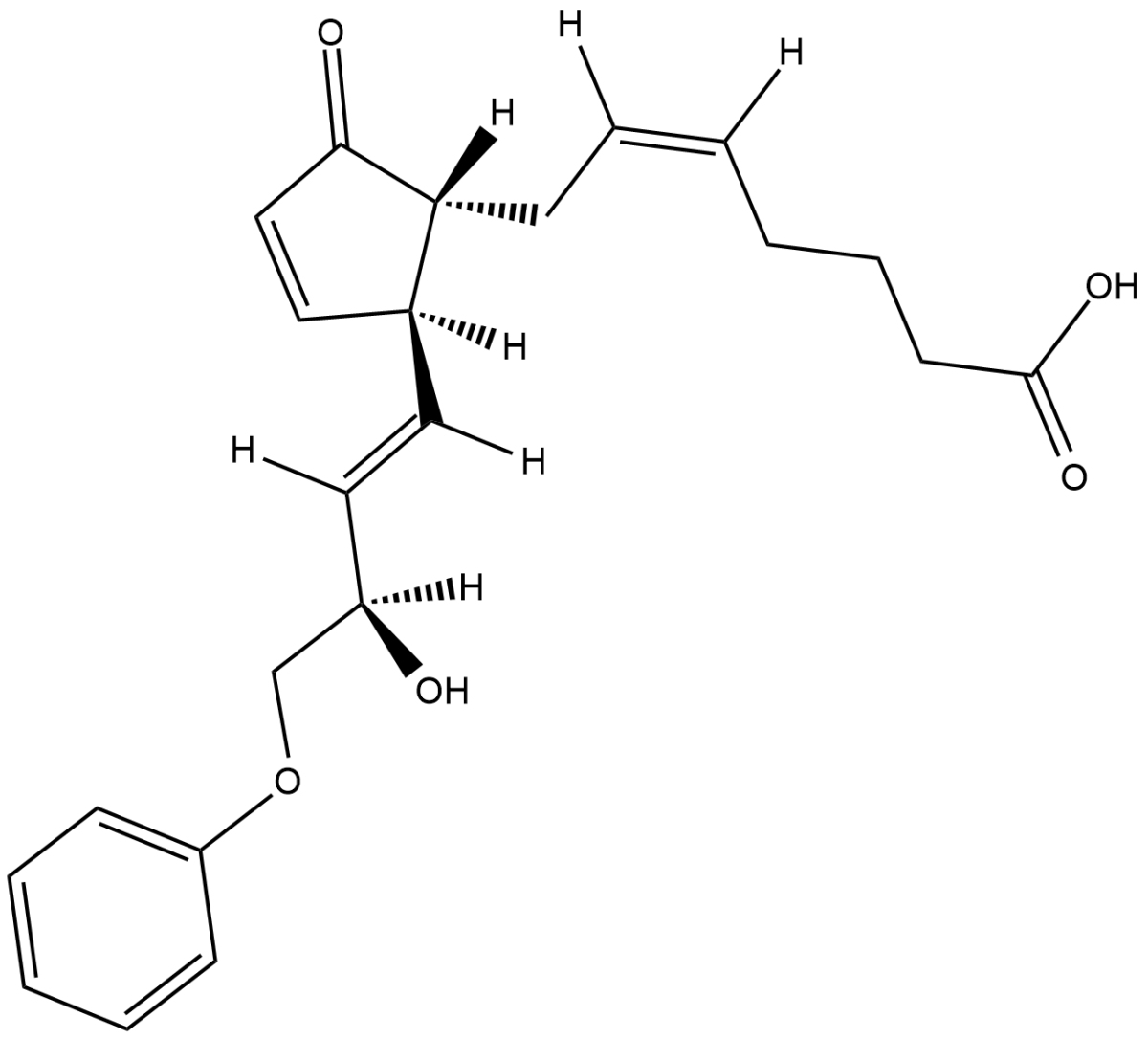 16-phenoxy tetranor Prostaglandin A2图片
