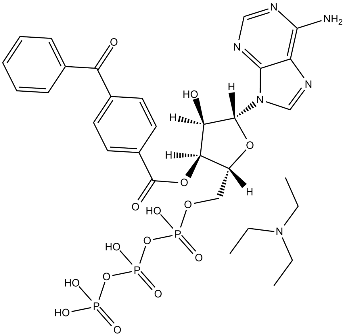 BzATP triethylammonium salt图片
