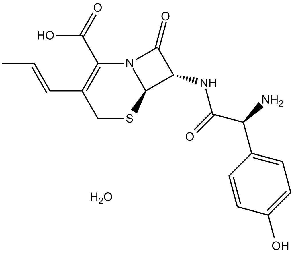 Cefprozil monohydrate图片