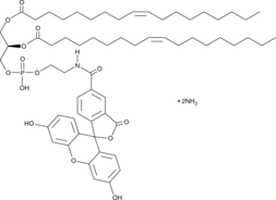 1,2-Dioleoyl-sn-glycero-3-N-carboxyfluoroscein-PE图片