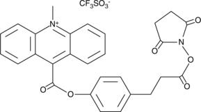 Acridinium NHS ester图片