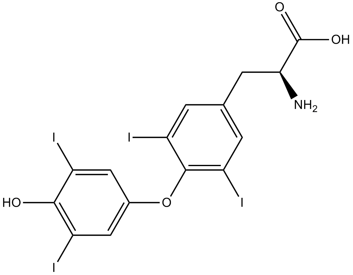 L-Thyroxine图片