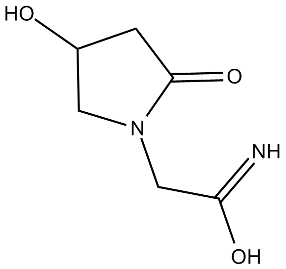 Oxiracetam图片