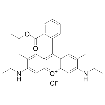 Rhodamine 6G(Basic Red 1)图片
