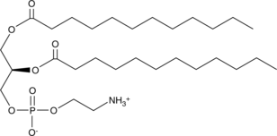 1,2-Dilauroyl-sn-glycero-3-PE图片