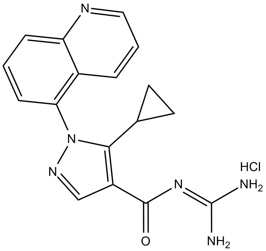 Zoniporide(hydrochloride)图片