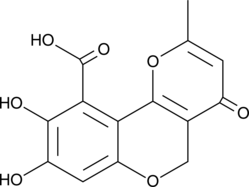 Citromycetin图片