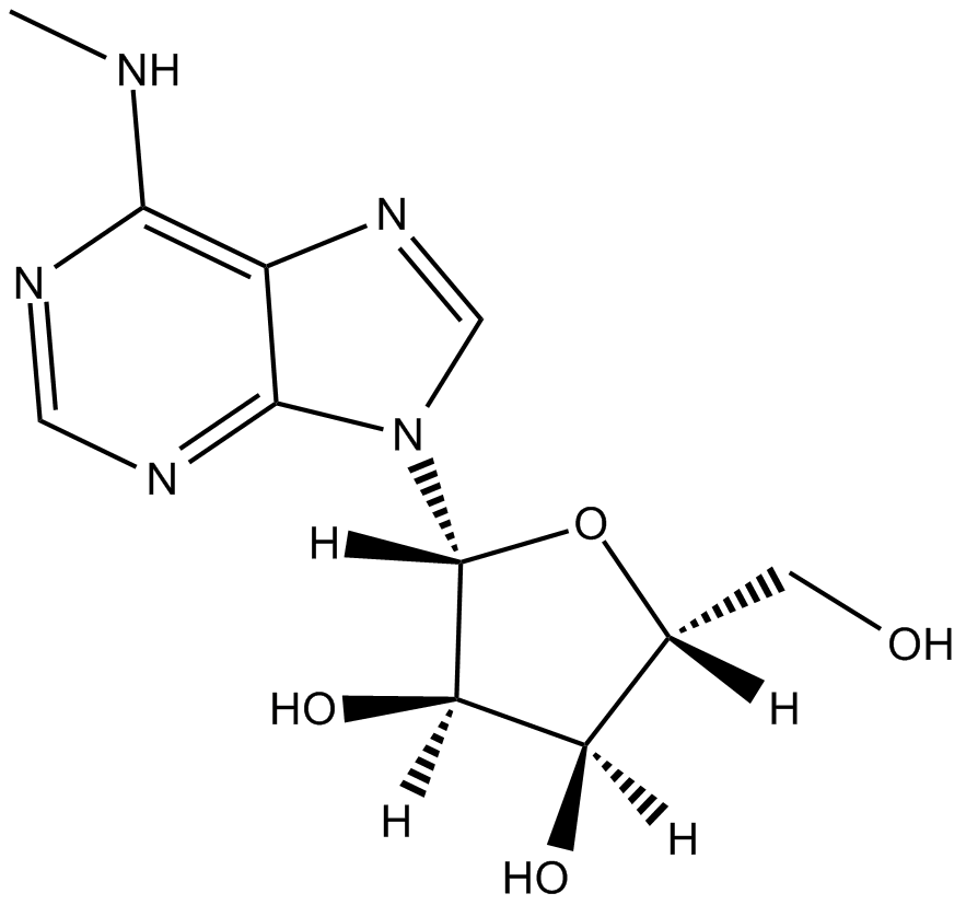 N6-methyladenosine(m6A)图片