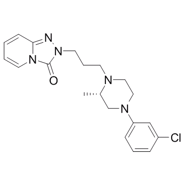 α1 adrenoceptor-MO-1图片