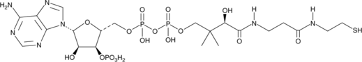 Coenzyme A图片