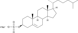 Cholesterol Sulfate(sodium salt)图片