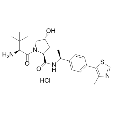 E3 ligase Ligand 1图片