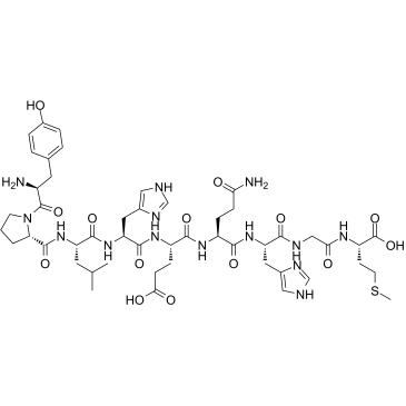 CEF19,Epstein-Barr Virus latent NA-3A 458-466图片