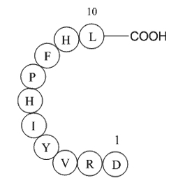 Angiotensin I(human,mouse,rat)图片