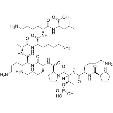 [pThr3]-CDK5 Substrate图片