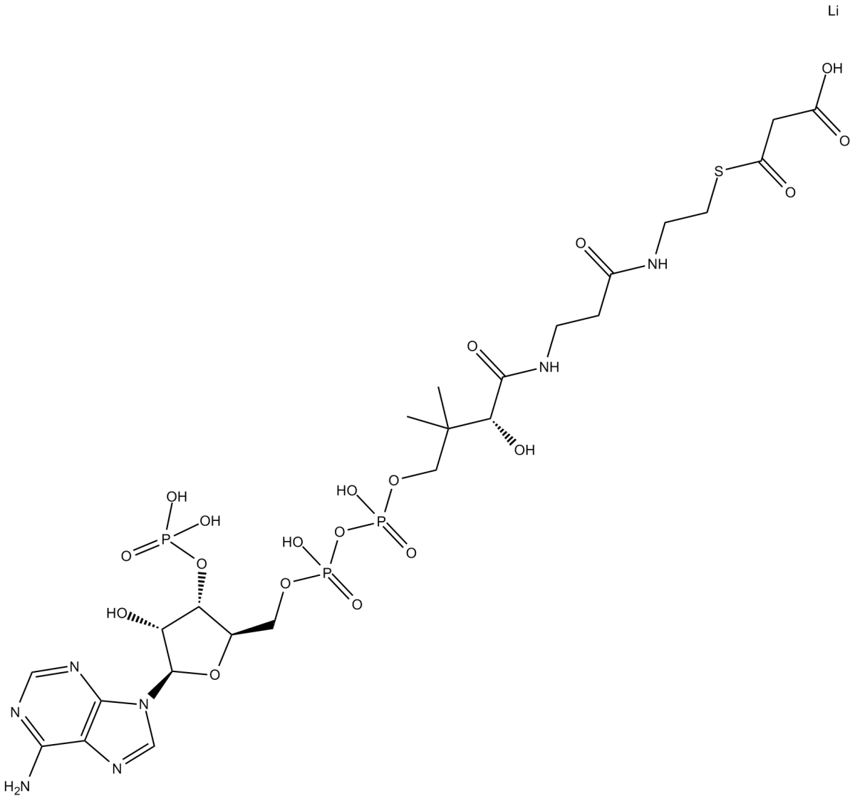 Malonyl Coenzyme A(lithium salt)图片