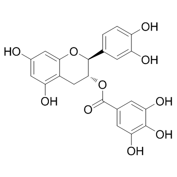 (-)-Catechin gallate((-)-Catechin 3-gallate)图片