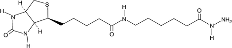 Biotin LC hydrazide图片