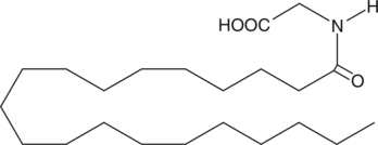 Arachidoyl glycine图片