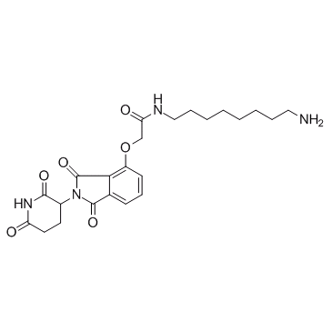 E3 Ligase Ligand-Linker Conjugates 20图片