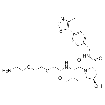E3 ligase Ligand-Linker Conjugates 6 Free Base图片