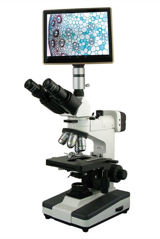 平板电脑型透反射生物显微镜BM-12P图片