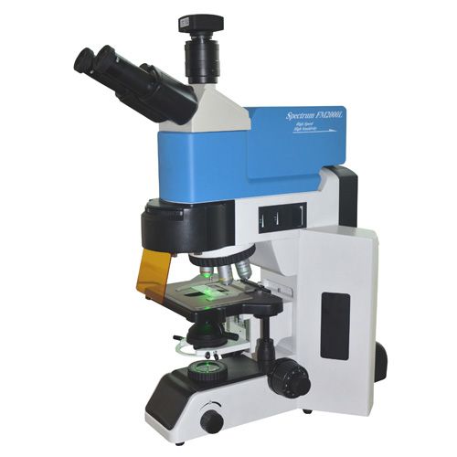 高级荧光光谱显微镜BM-FM-XRF5(三目)图片